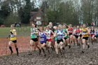 Senior womens 2018 British Inter Counties Cross Country Champs., Prestwold Hall, Loughborough. Photo: David T. Hewitson/Sports for All Pics